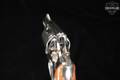 1981 Smith & Wesson (S&W) Model 36 .38 Spl. Nickel in Very Good Condition Image 5