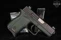 Diamondback (DB) DB380 .380 ACP Two-Tone OD Green in Very Good Condition Image 2