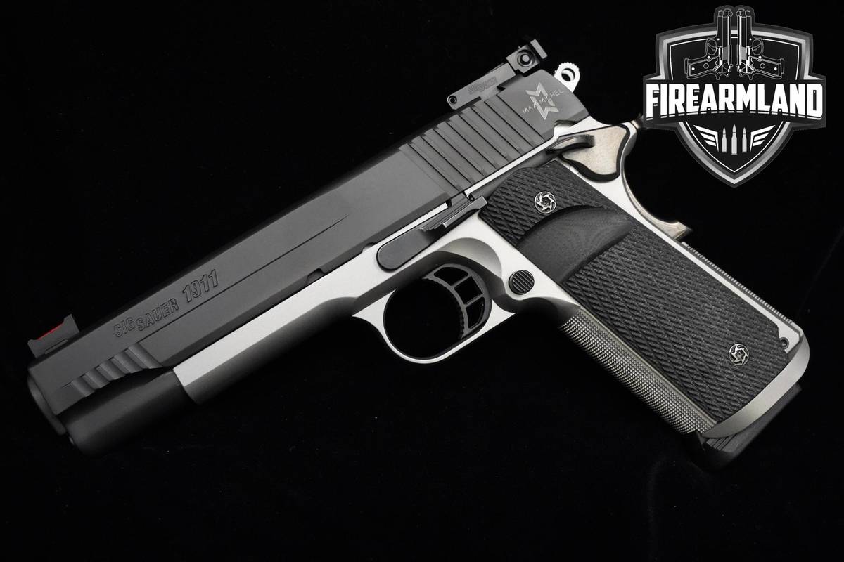 LIKE-NEW Sig Sauer 1911 Max Michel 45 ACP 5" Sig-Sauer 1911 2MAGS