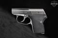 L.W. Seecamp (LW Seecamp) LWS-32 .32 ACP Stainless in Very Good Condition Image 2