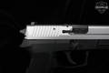 Sig Sauer SP2022 Two-Tone 9mm Luger Two-Tone in Very Good Condition Image 4