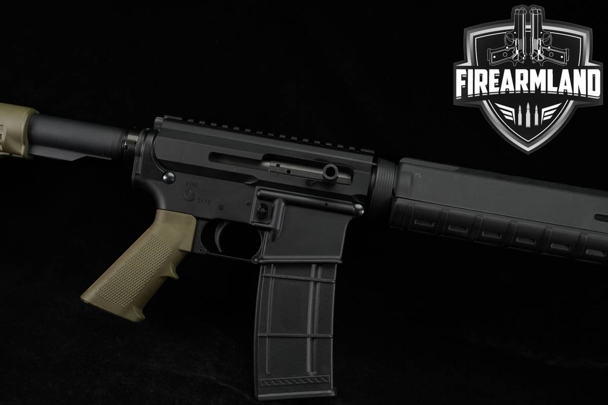 Palmetto State Armory PSA PA-15 5.56 NATO AR Optic-Ready MAGPUL MOE +2 MAGS