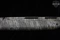 Winchester Repeating Arms SX4 Waterfowl Hunter Bottomland 20 Gauge Mossy Oak Bottomland in Excellent Condition Image 5