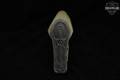 Magpul Industries 5x ODG Stock Handguard & Grips in Good Condition Image 5