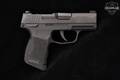 Sig Sauer P365 OR P365-380 .380 ACP Nitron in Excellent Condition Image 3