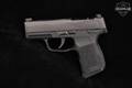 Sig Sauer P365 OR P365-380 .380 ACP Nitron in Excellent Condition Image 5