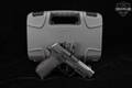 Sig Sauer P365 AXG LUXE Comp .380 ACP Stainless in Excellent Condition Image 2