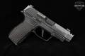 Sig Sauer P365 AXG LUXE Comp .380 ACP Stainless in Excellent Condition Image 3