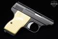 Sterling Arms International Model 300 .25 ACP (6.35mm) Blued in Very Good Condition Image 5