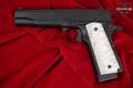Trabzon Silah Sanayi (Tisas) Regent R100 .45 ACP Black in Good Condition Image 2