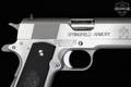 Springfield Armory 1911 Mil-Spec Stainless Steel .45 ACP Stainless Steel in Excellent Condition Image 5