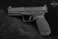 Springfield Armory Echelon 9mm Luger Black in Excellent Condition Image 3