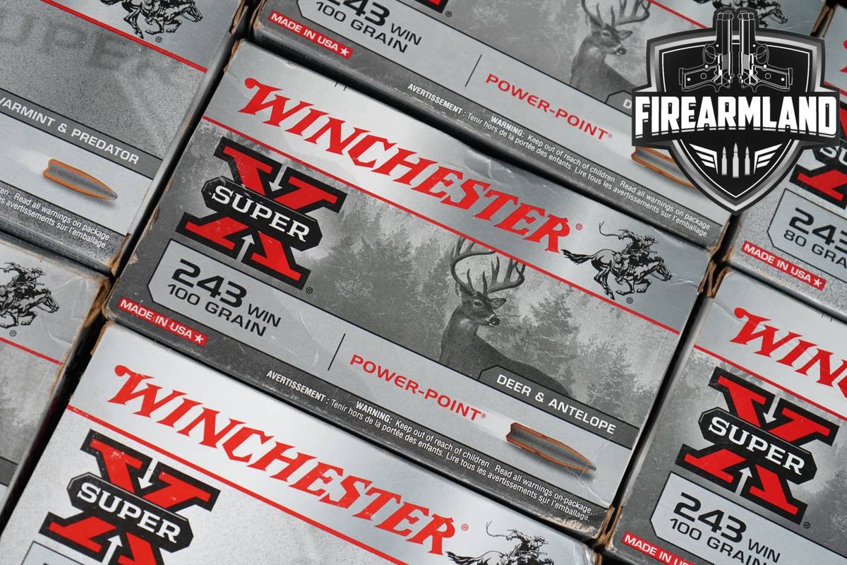 200 RDS! 243 Win Ammo Ammunition