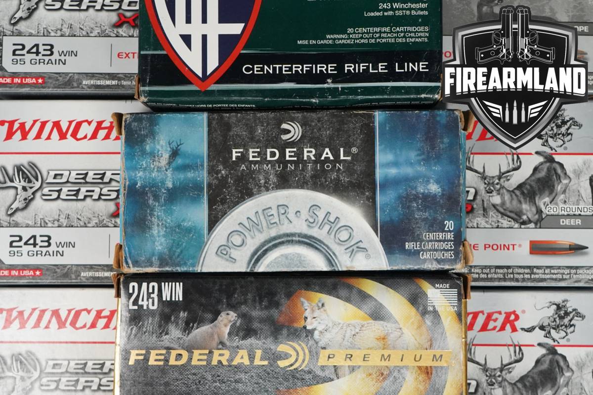 200 RDS! 243 Win Ammo 243Win Ammunition