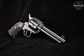 Herbert Schmidt LA's Deputy .22 LR Blued in Poor Condition Image 2