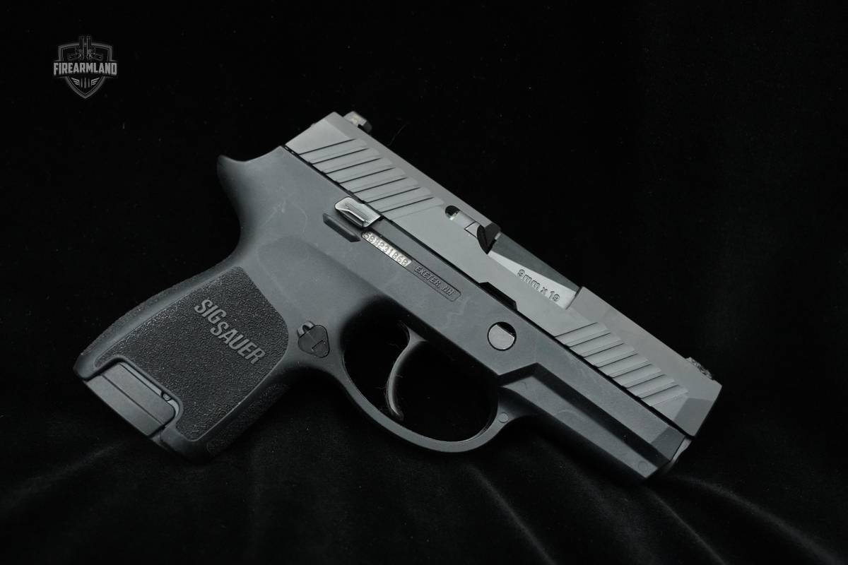 Sig Sauer P320 Sub Compact 9mm Sig 9mm P320 Compact Pistol CC EDC 320 9 mm