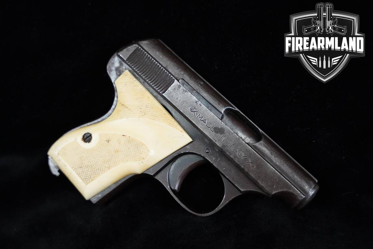 1960's Rigarmi Brescia Galesi 2.25" Blued Galesi +HOLSTER