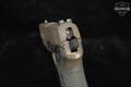 Sig Sauer P239 Scorpion .40 S&W FDE (Flat Dark Earth) in Very Good Condition Image 5
