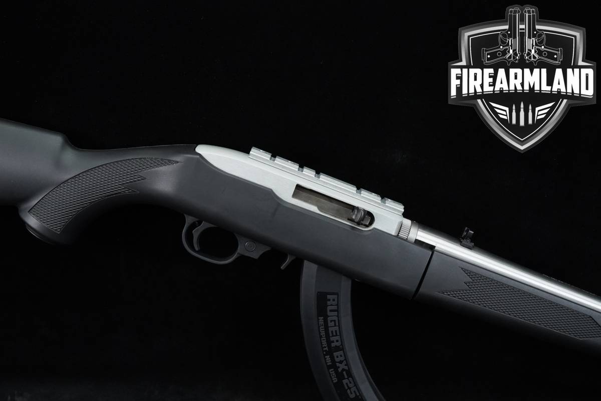 2013 Ruger 10/22 Takedown 22LR 18.5" +3 MAGS & ORIG CASE