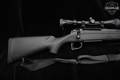 Mar 2012 Remington Model 770 .243 Win. Matte Blue in Excellent Condition Image 3