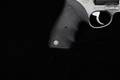 2017 Taurus Model 44 .44 Mag. Matte Silver in Good Condition Image 3