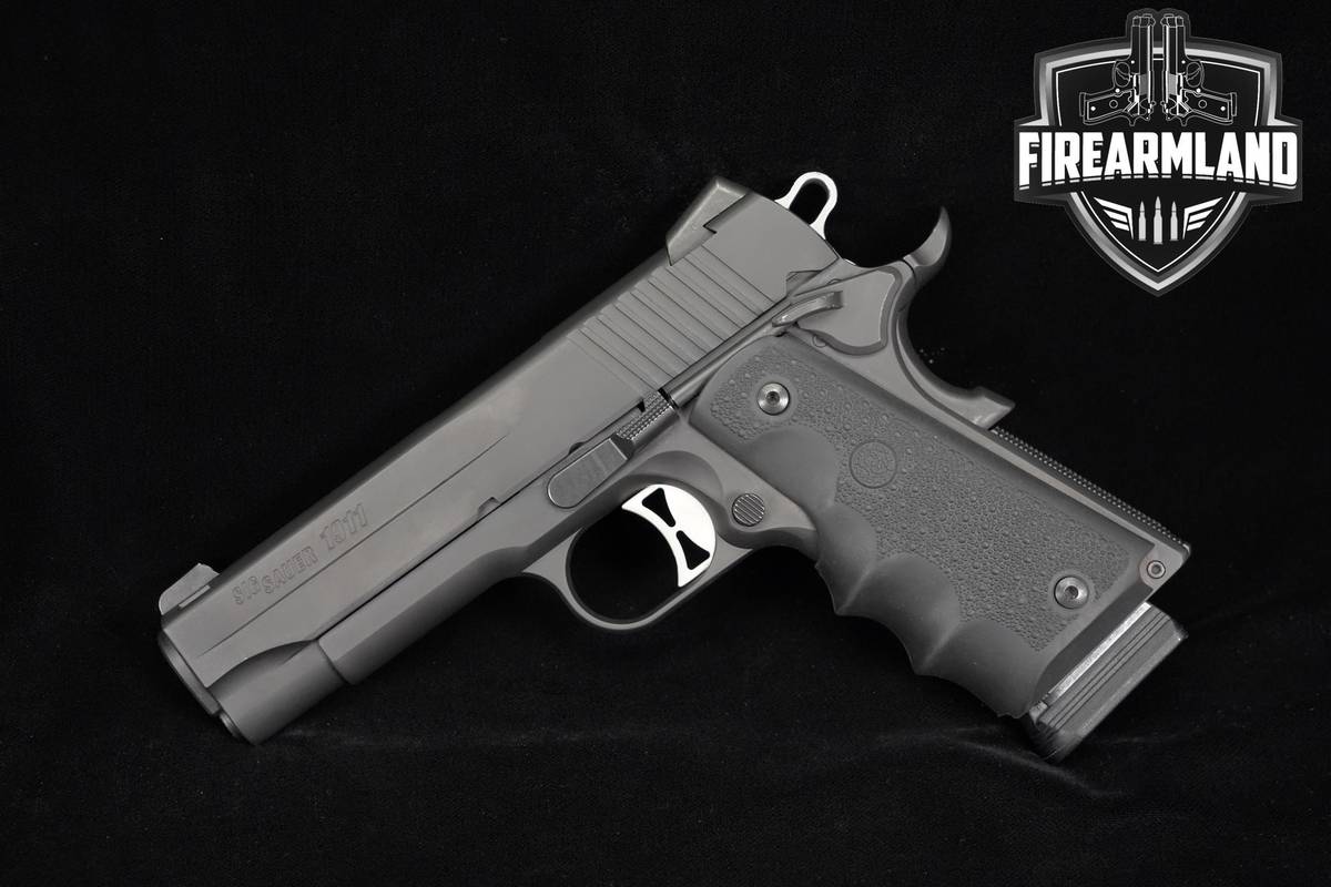 Sig Sauer 1911 Carry 45-ACP 4.2" Blued +2 MAGS & ORIG CASE