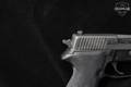 Sig Sauer P227 SAS Gen2 Custom Shop .45 ACP Black in Excellent Condition Image 5