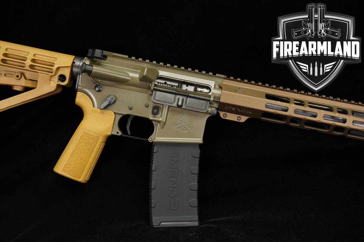 Palmetto State Armory PSA SABRE-15 5.56 NATO AR15 12.5" AR BRACE