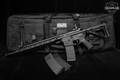 Palmetto State Armory (PSA) M16A2 5.56mm NATO Black in Excellent Condition Image 2