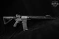 Palmetto State Armory (PSA) M16A2 5.56mm NATO Black in Excellent Condition Image 3