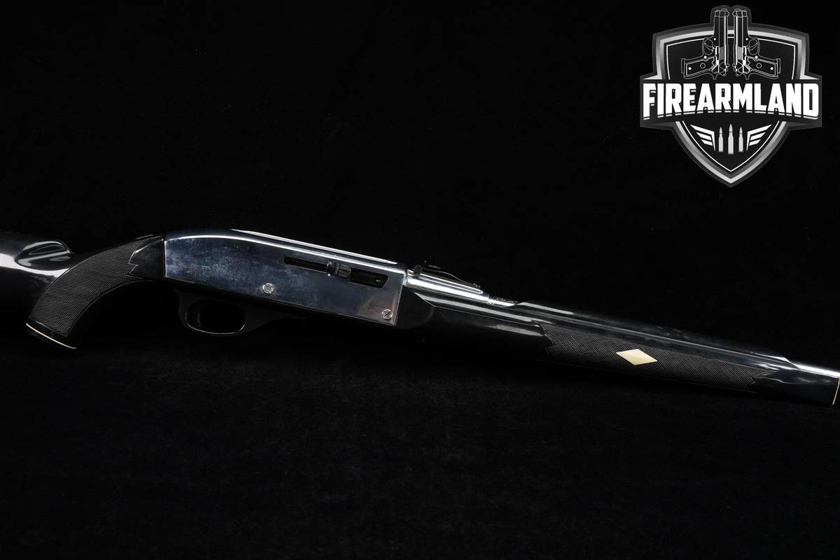 Remington Nylon 66 Apache Black (66AB) 22LR 19.5"