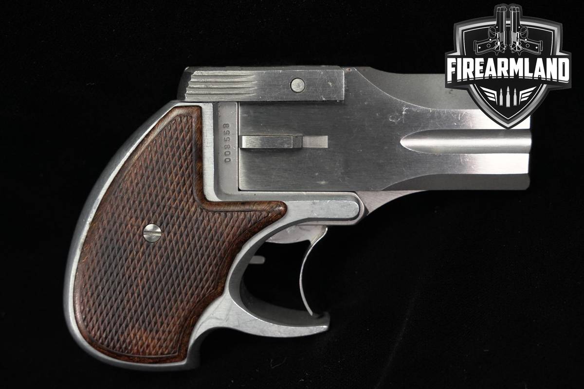 LIMITED! BTJ DA 38-Special 3" Matte Stainless +HOLSTER