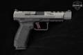Canik TP9SFx 9mm Luger Two-Tone Tungsten Gray in Very Good Condition Image 3