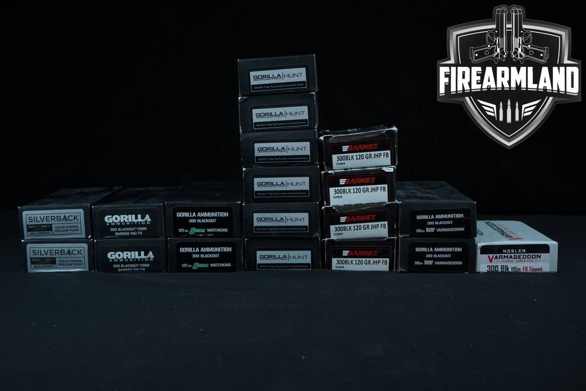 380 RDS! 300 Blackout Ammo BLK-AAC Ammunition