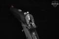 Para Ordnance P14-45 Classic .45 ACP Black in Good Condition Image 5
