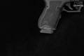 Palmetto State Armory (PSA) Dagger Compact 9mm Luger Black in Excellent Condition Image 4