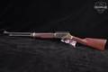 Henry Repeating Arms H024-4570 .45-70 Govt. Blued/Brass in Very Good Condition Image 2