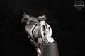 Smith & Wesson (S&W) Model 500 500 S&W Magnum Satin Stainless in Very Good Condition Image 5