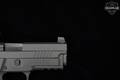 2023 Sig Sauer P229 Legion SAO 9mm Luger Legion Gray in Excellent Condition Image 5
