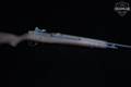 Springfield Armory M1A .308 Win. Parkerized in Excellent Condition Image 3