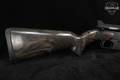 Armalite AR-7 Explorer .22 LR Black in Good Condition Image 5