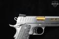 Kimber Rapide Dawn 9mm Luger Stainless Steel in Excellent Condition Image 5