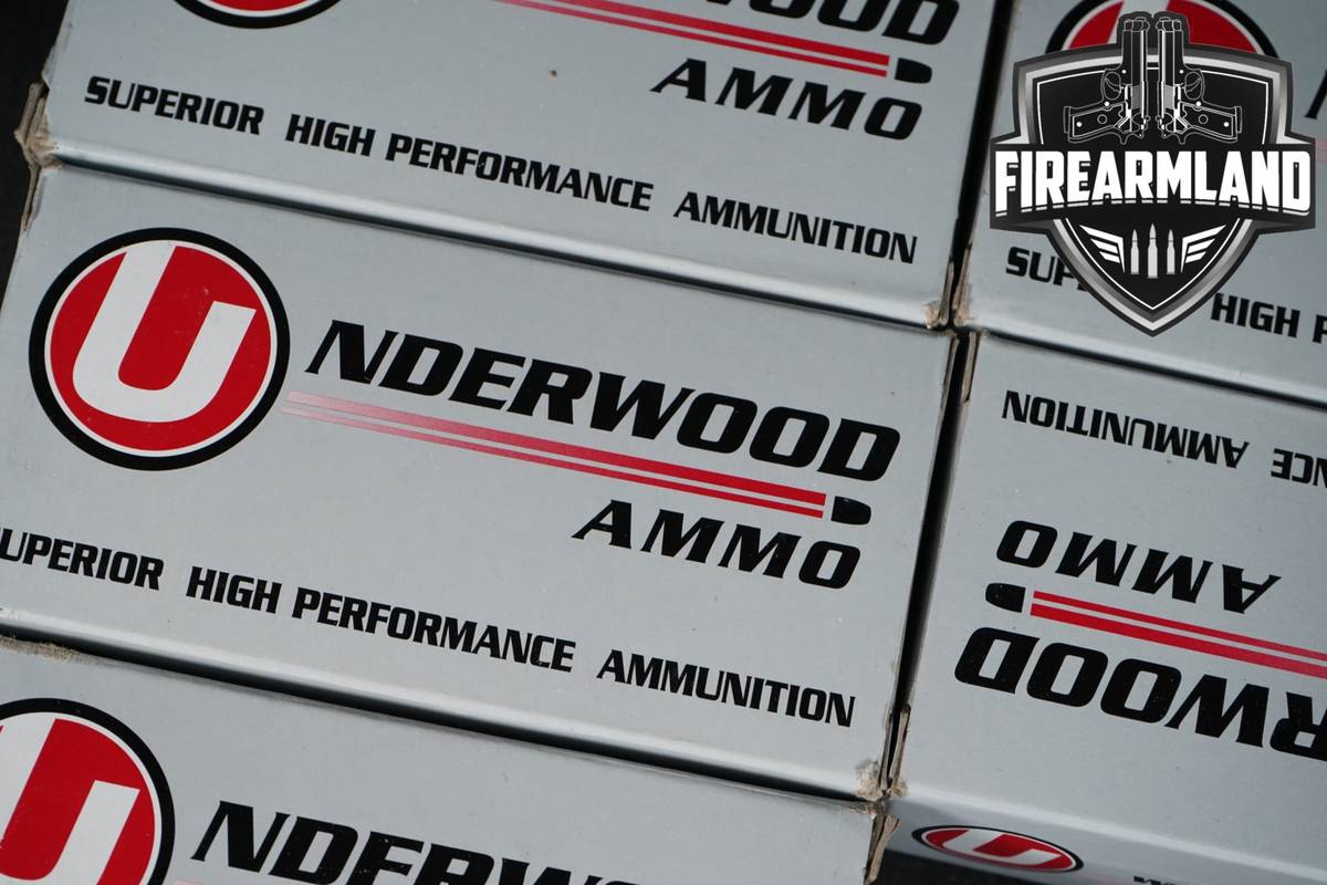 250 RDS! 44 Magnum Ammo Mag Ammunition