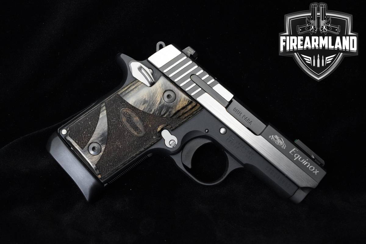 Sig Sauer P938 Equinox 9mm 3" Two-Tone 1911 Sig-Sauer P938 P-938 2MAGS