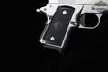 Para Ordnance P10-45 Stainless .45 ACP Stainless Steel in Good Condition Image 3