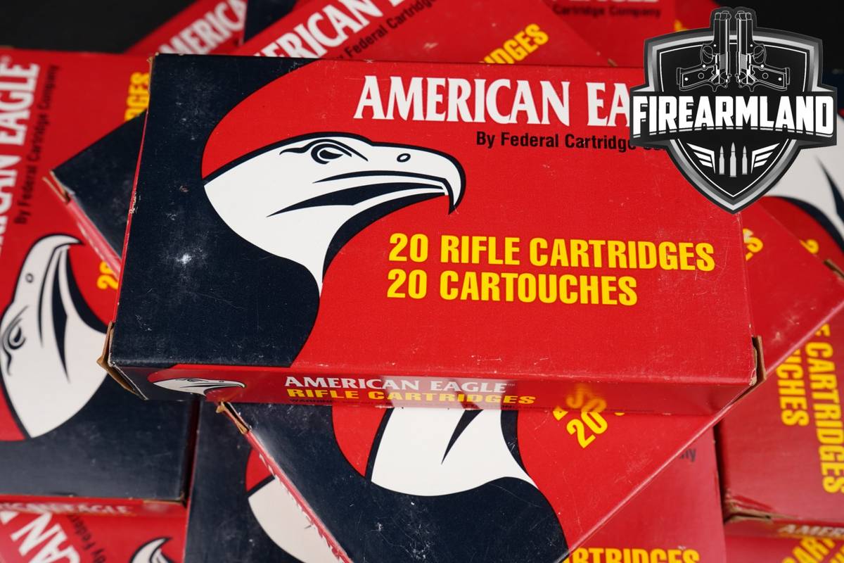 220 RDS! 30-06 Ammo 3006 Ammunition