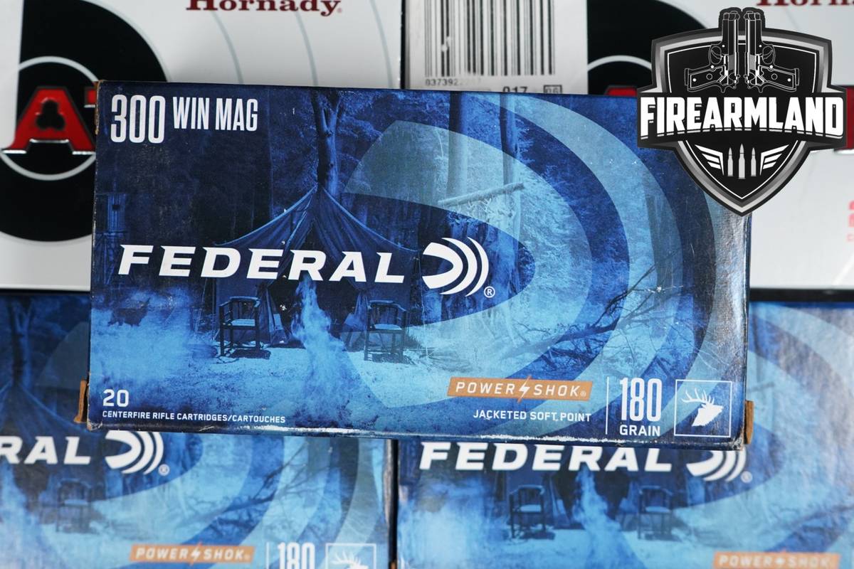 100 RDS! 300 Win Magnum Ammo Winchester Mag Ammunition