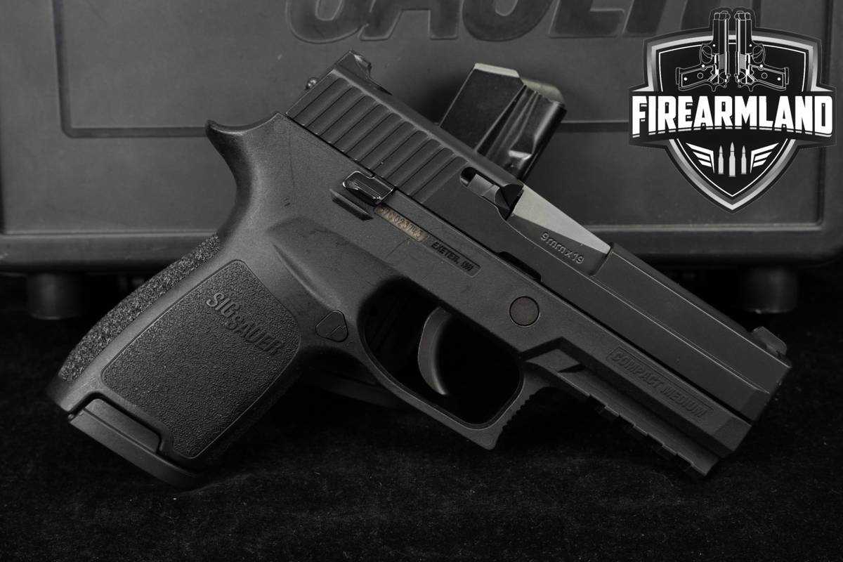 Sig Sauer P250 Compact 9mm 3.9" P 250 +2 MAGS & ORIG CASE