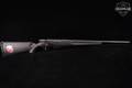 Savage Arms Model 25 Walking Varminter .223 Rem. Blued in Excellent Condition Image 3