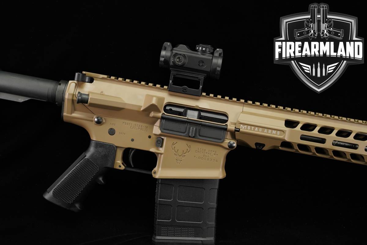 Stag Arms AR-10 Classic 308 Winchester AR10 FDE & Black Stag10 +2 MAGS